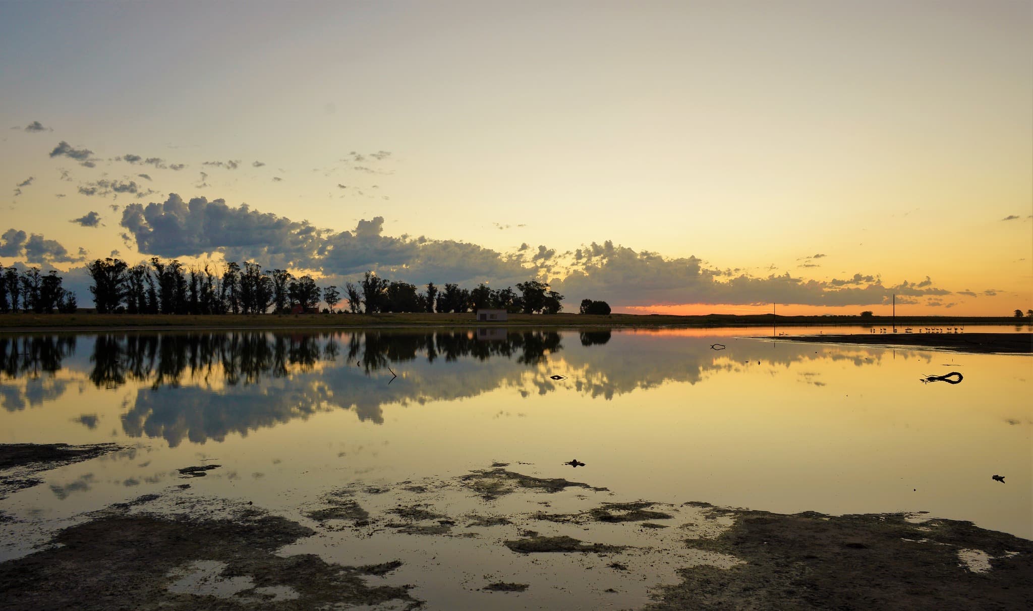 Reflejos de Campo en Balneario Reta