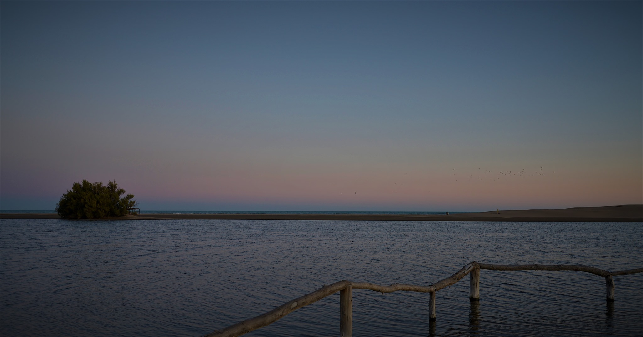 Visitar la Albufera de Reta